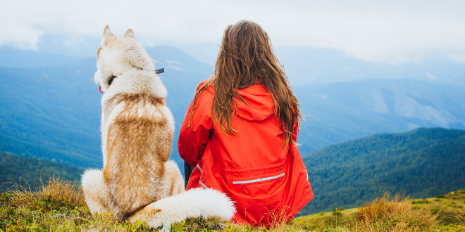 Vous prenez l'avion avec votre animal de compagnie ? Dix choses à savoir