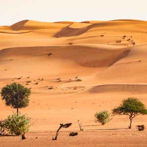 desert de Wahiba Sands Oman iStock Header