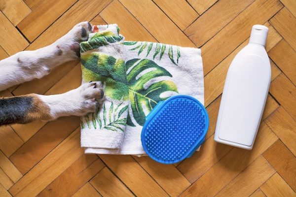 Produits de toilette pour chien