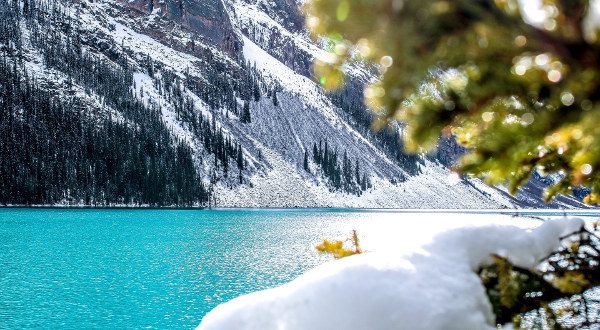 Baff-Canada