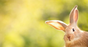 Top 10 des endroits où fêter Pâques dans le monde
