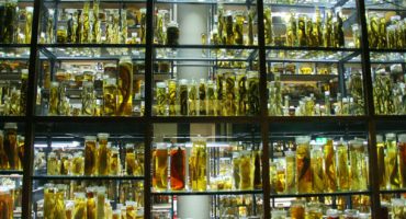 Les musées insolites à visiter en voyage