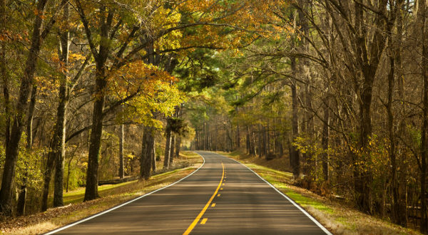 Road down the Natchez Trace Parkway in fall