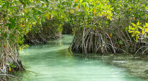 laguna-sian-kaan-Muyil-mexique-maya