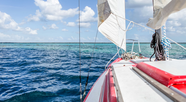 Bacalar