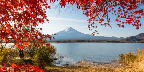 Japon