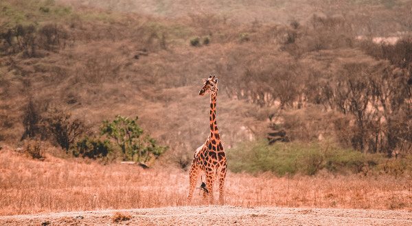 Kenya