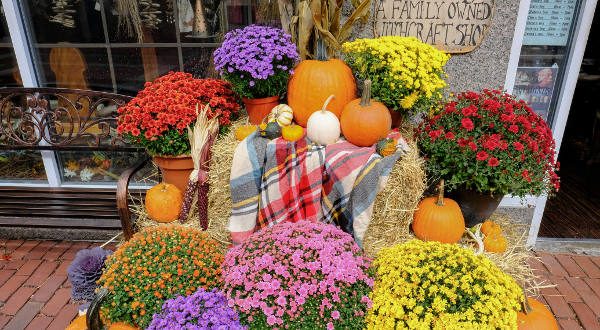 Halloween decoration