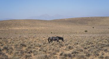Les plus beaux paysages du Nevada