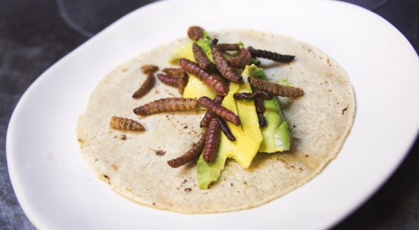 Caviar Mexique