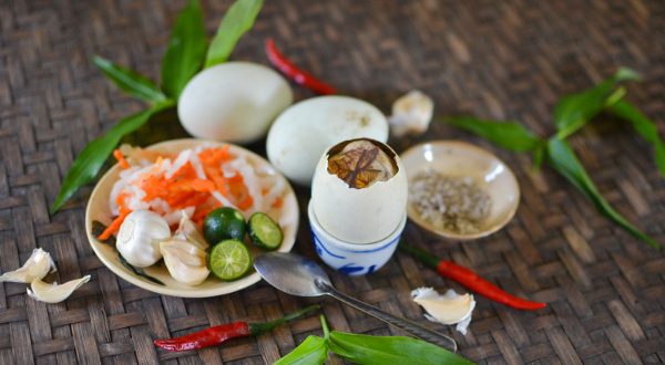 Oeuf-couvé-Asie