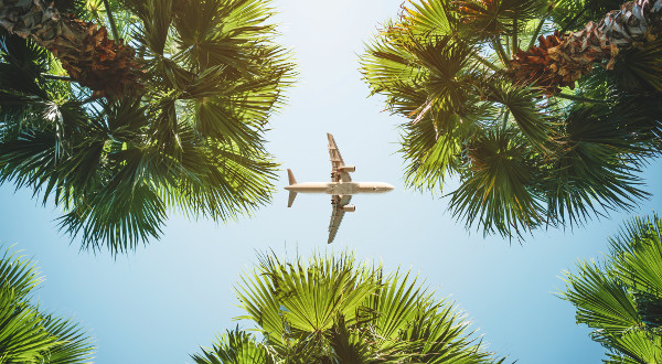 avion