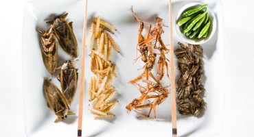 Top 5 des traditions culinaires les plus étranges au monde