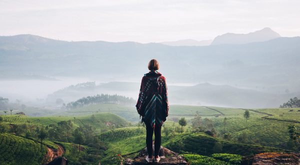 Le Kerala, en Inde