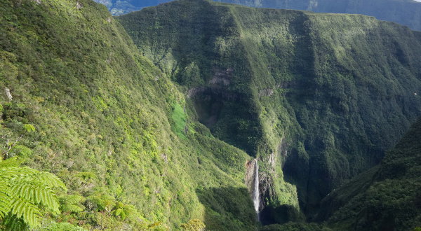 trou-de-fer-Réunion-iStock