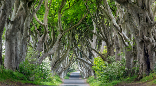 Irlande