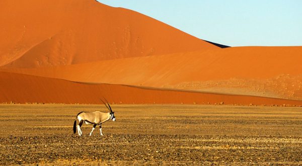 NAMIBIE DESERT