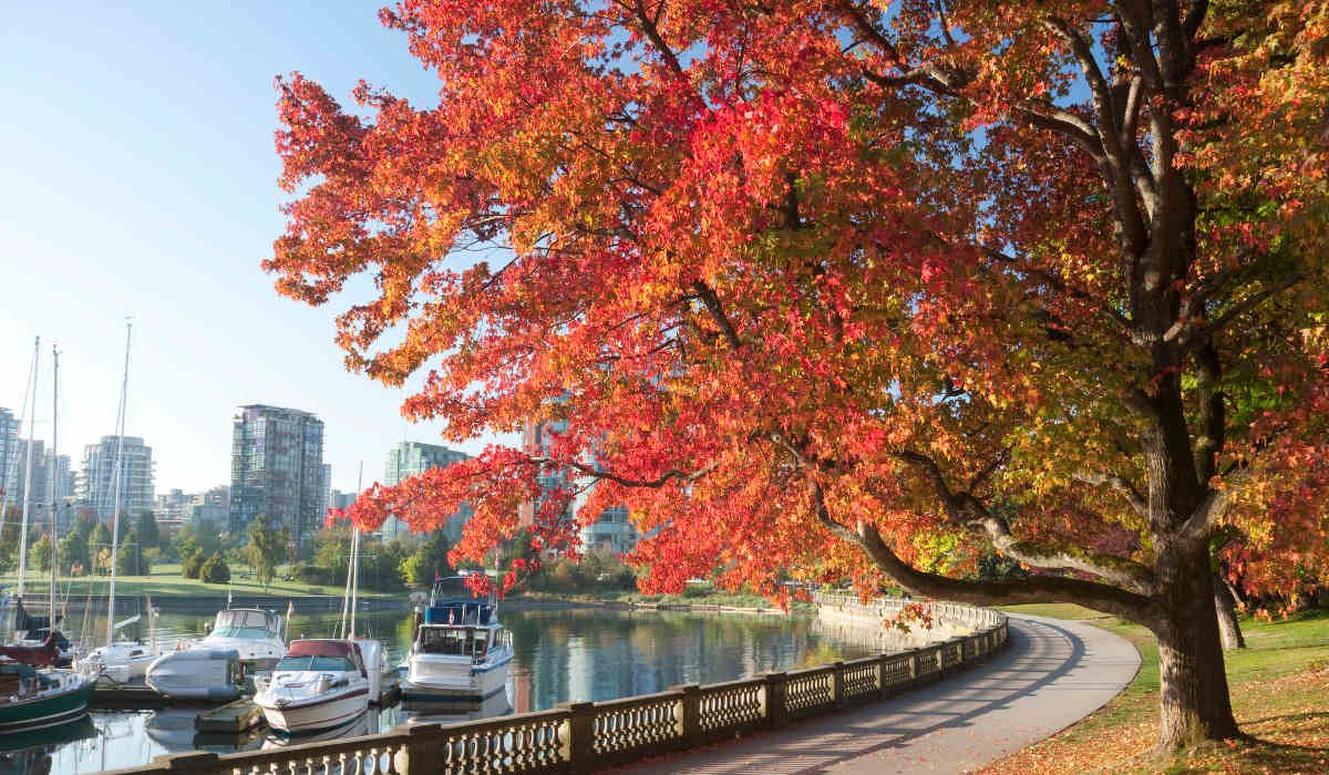 Parc Stanley de Vancouver