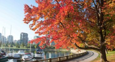 7 superbes parcs urbains où se ressourcer en pleine ville