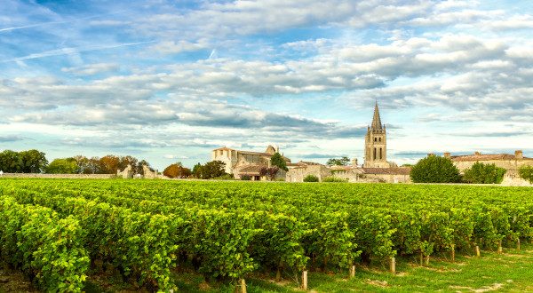 Vignes de Saint Emilion - Bordeaux