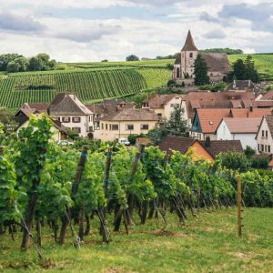 Vignobles