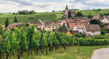 Road trip sur les routes des vins depuis Bordeaux