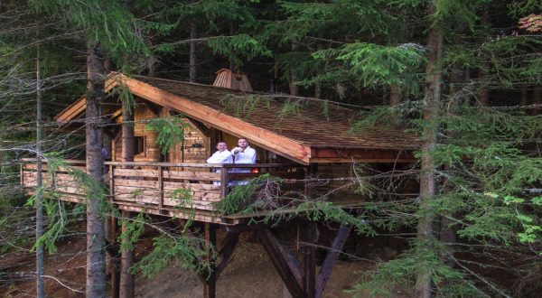 Cabane dans les arbres