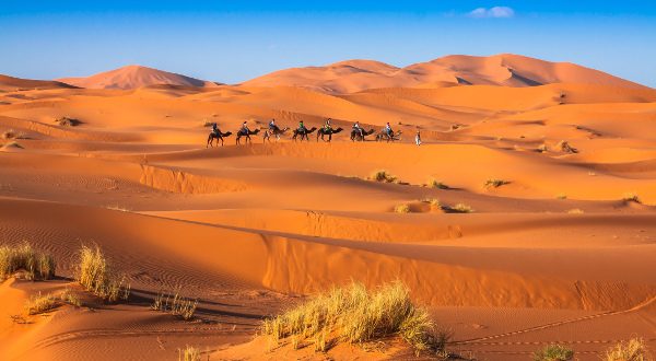 Merzouga désert Maroc