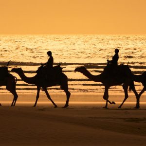 Road trip au Maroc