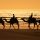 Road-trip-au-Maroc