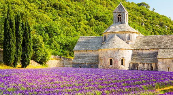 Abbaye de Sénanque