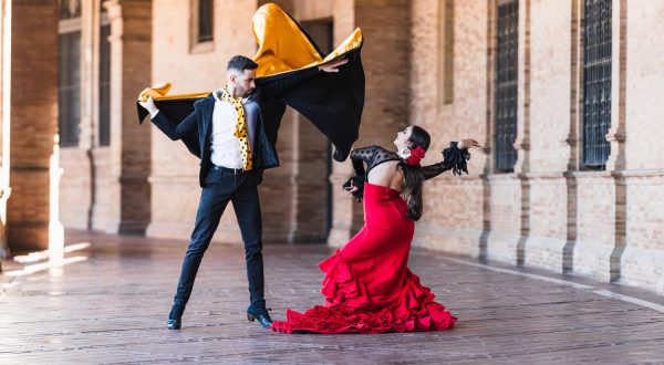 Flamenco Espagne