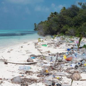 Maldive plage