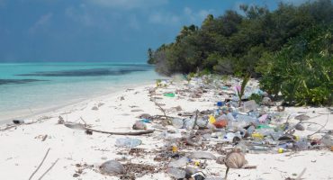 Les îles les plus dangereuses du monde
