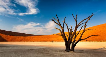 Top 5 des choses à voir et à faire en Namibie