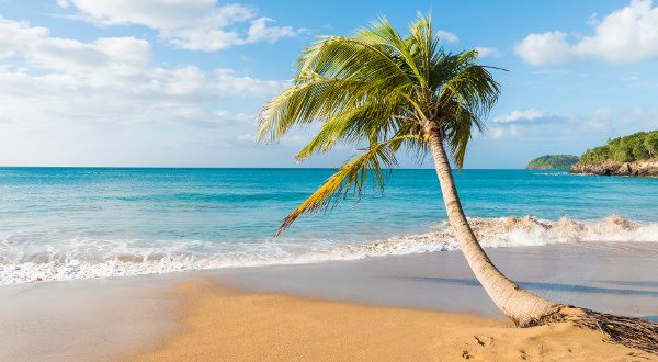 iStock Guadeloupe plage de rêve