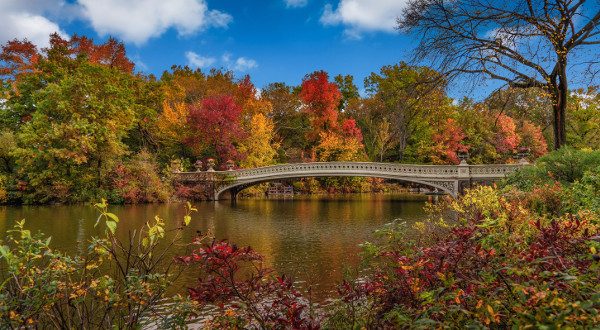 Central Park pierre-blache-NMety5Q4gm0-unsplash