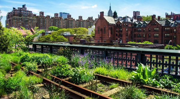 High Line iStock