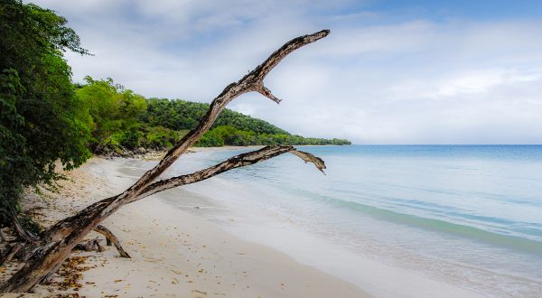 Marie Galante Guadeloupe