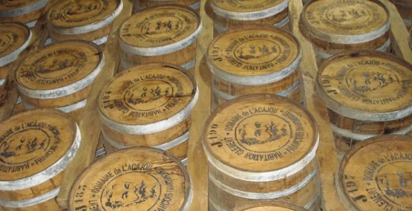 Distillerie de rhum en Martinique
