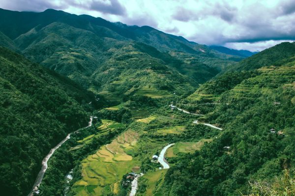 Rizières de Luzon aux Philippines