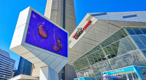 aquarium Toronto