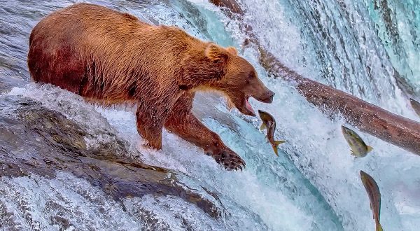 Katmai National Park, Alaska