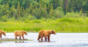 Les choses à voir et à faire en Alaska