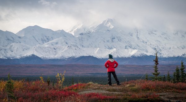 parc national de Denali Alaska iStock 600x330