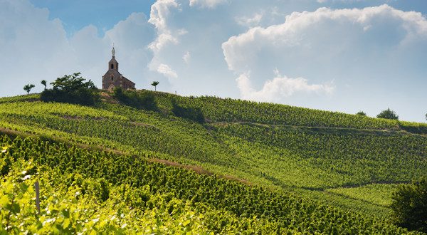 a 100km autour de lyon : vignobles du beaujolais