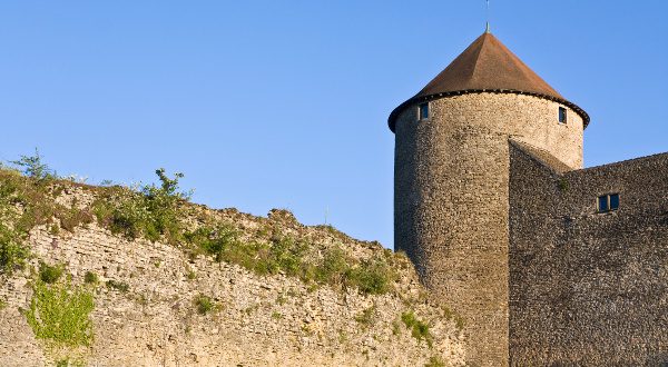 Château des Allymes iStock