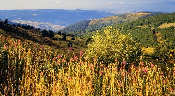 Massif des Cévènnes iStock