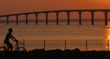 Que faire et que voir à l’Île de Ré ?