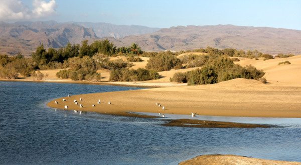 Maspalomas îles Canaries